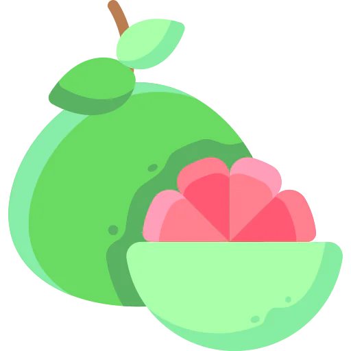 Grapefruit icon
