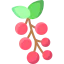 Berries icon 64x64