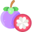 Mangosteen icon 64x64
