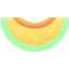 Melon icon 64x64