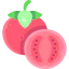 Tomato icon 64x64