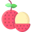 Lychee icon 64x64
