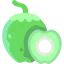 Coconut icon 64x64