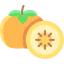Persimmon icon 64x64
