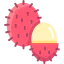 Rambutan icon 64x64