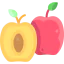 Apricot icon 64x64
