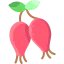 Rosehip icon 64x64