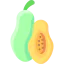 Papaya icon 64x64