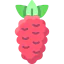 Raspberries icon 64x64