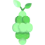 Grapes icon 64x64