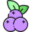 Blueberries 图标 64x64