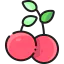 Cherry 图标 64x64