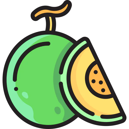 Melon icon