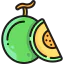 Melon 图标 64x64
