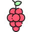 Grapes 图标 64x64
