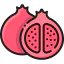 Pomegranate 图标 64x64