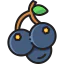 Blackcurrant 图标 64x64