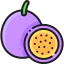 Passion fruit icon 64x64