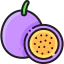 Passion fruit 图标 64x64