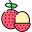 Lychee 图标 64x64