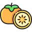 Persimmon 图标 64x64