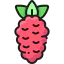 Raspberries ícono 64x64