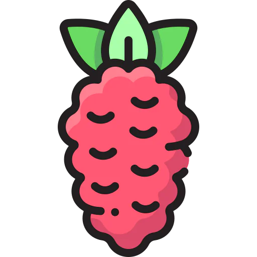 Raspberries icon
