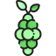 Grapes ícono 64x64