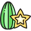 Carambola ícono 64x64