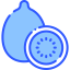 Kiwi biểu tượng 64x64