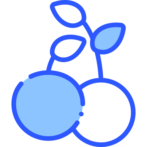 Cherry icon
