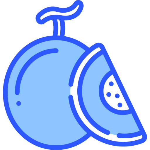 Melon icon