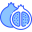 Pomegranate biểu tượng 64x64