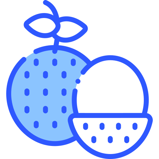 Lychee icon