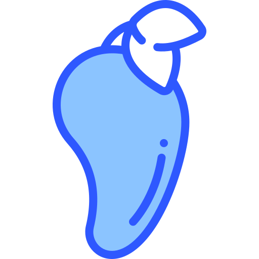 Mango icon