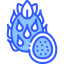 Pitaya 图标 64x64