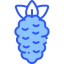 Raspberries 图标 64x64