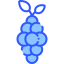 Grapes 图标 64x64