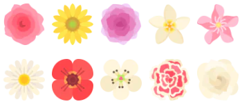 Flowers gói biểu tượng