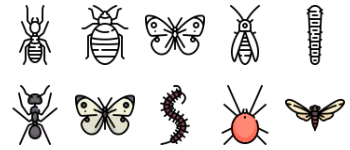 Insects 图标包