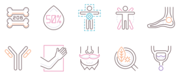 Anatomy paquete de iconos