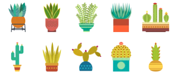 Cactus Collection icon pack