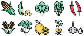 Vegetables paquete de iconos