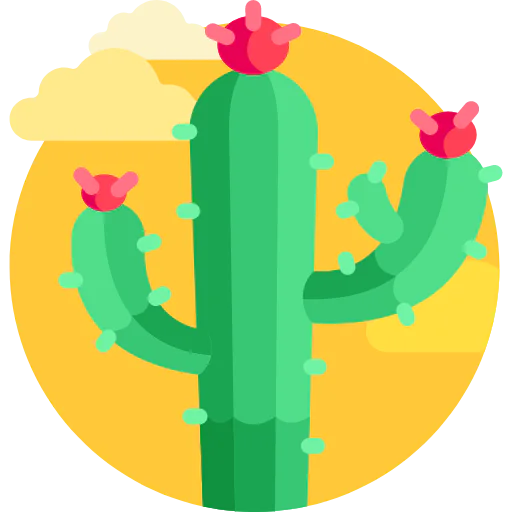 Cactus icon