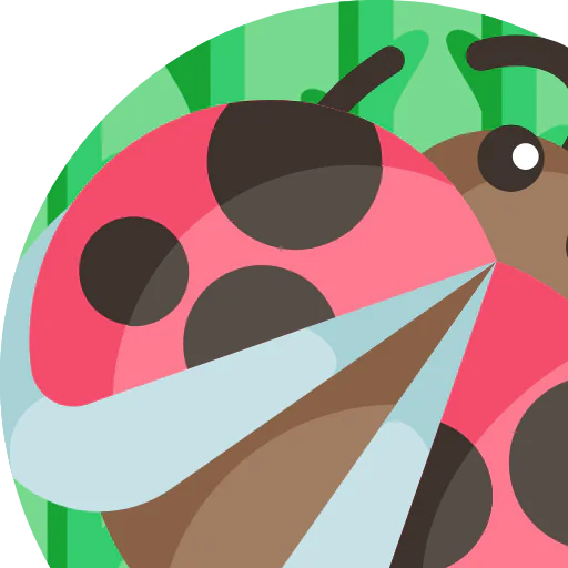Ladybug icon