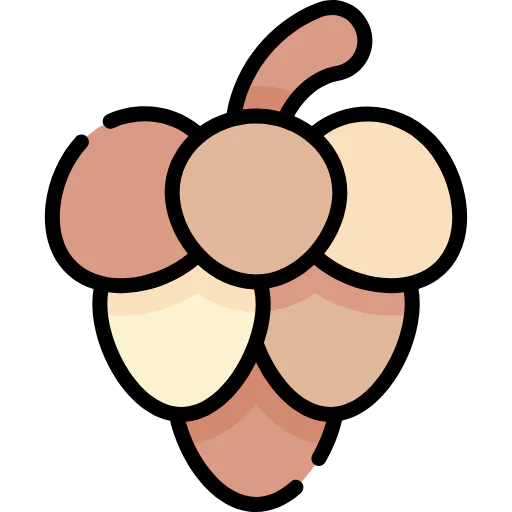 Pine cone icon