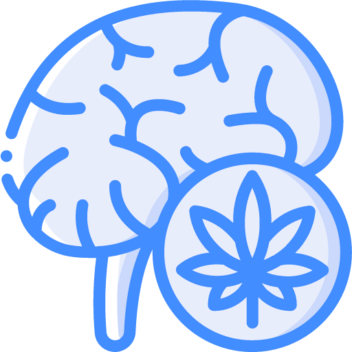 Brain icon