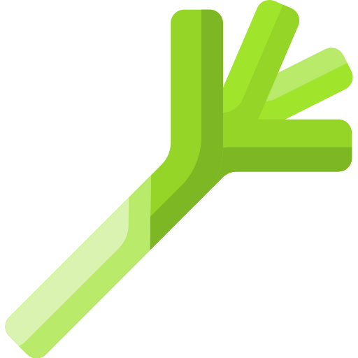 Leek icon