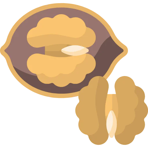Walnut icon
