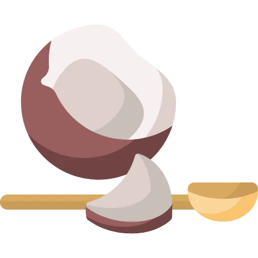 Coconut icon